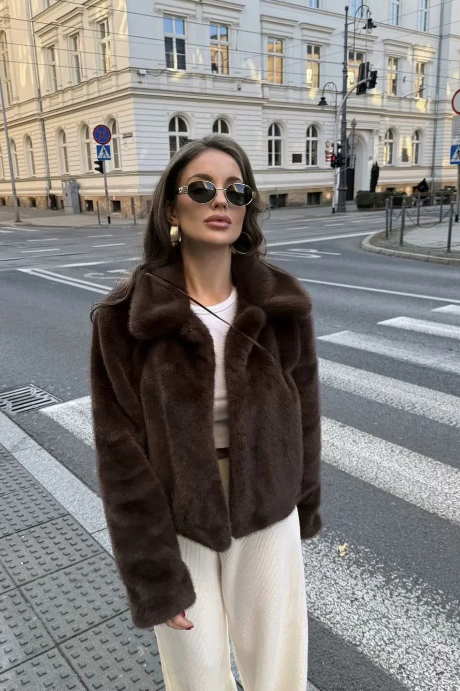 Brown - A woman standing outdoors on stone steps wearing a dark brown, plush faux fur cropped jacket with a wide collar, styled with a mini skirt and tall black boots.